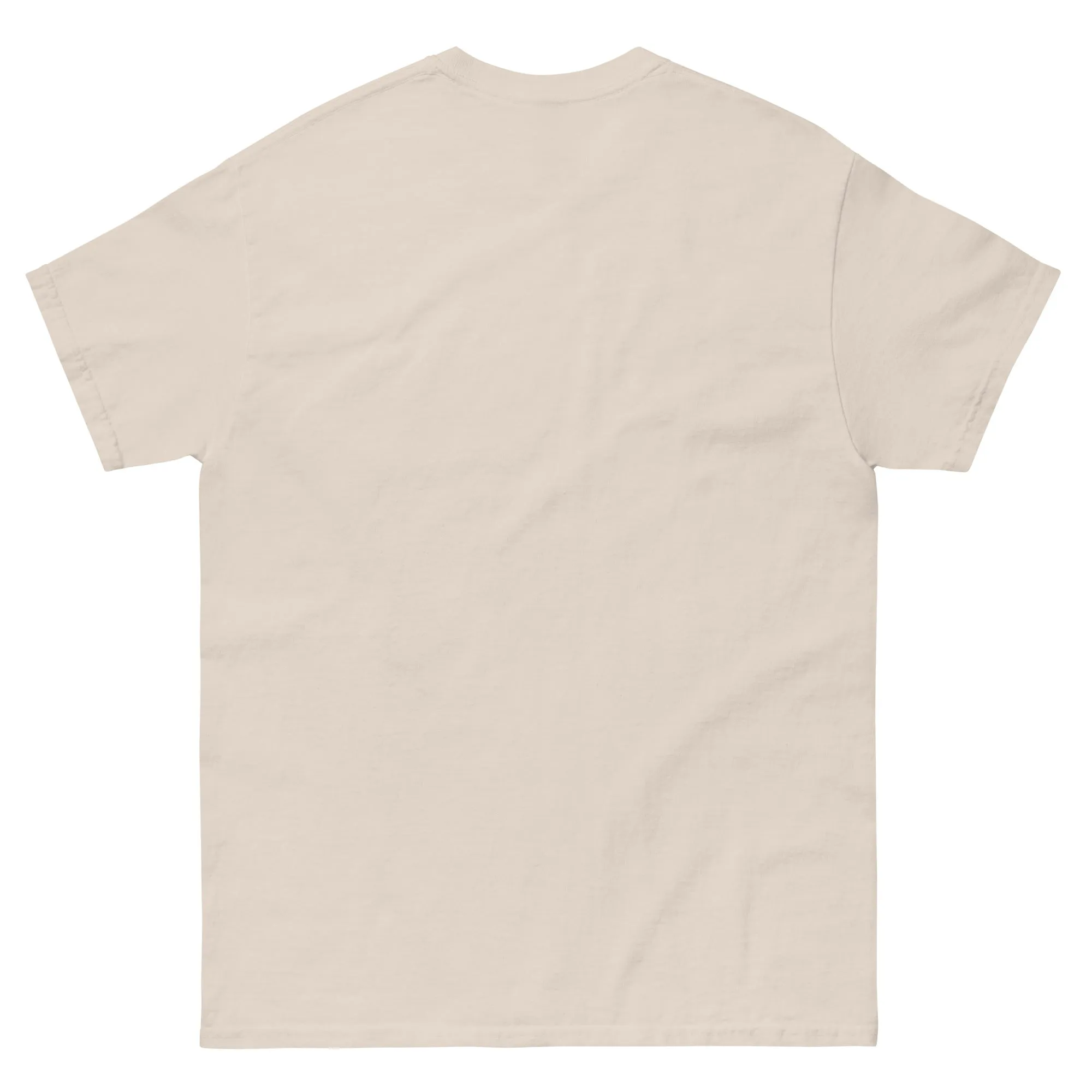 Haunted by My TBR Gildan Unisex classic tee